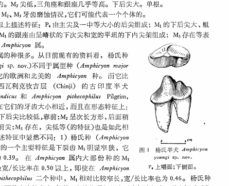 微信图片_20230327091140.png